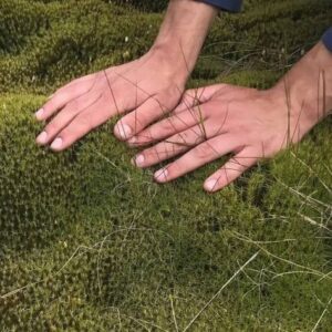 two hands touching grass referencing connecting with nature to stop dieting