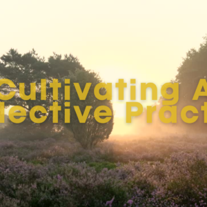 Cultivating a Reflective Practice: A 12 Minute Guided Meditation