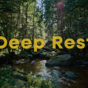 Deep Rest: An 18 Minute Guided Meditation