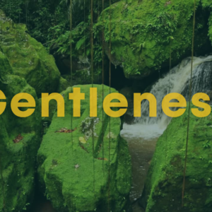 Gentleness: A 12 Minute Guided Meditation